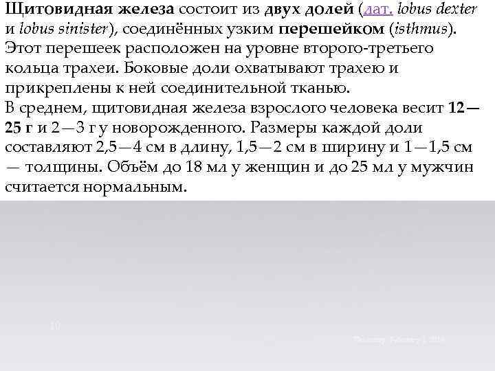 Щитовидная железа состоит из двух долей (лат. lobus dexter и lobus sinister), соединённых узким