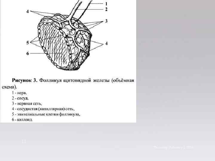 11 Thursday, February 1, 2018 
