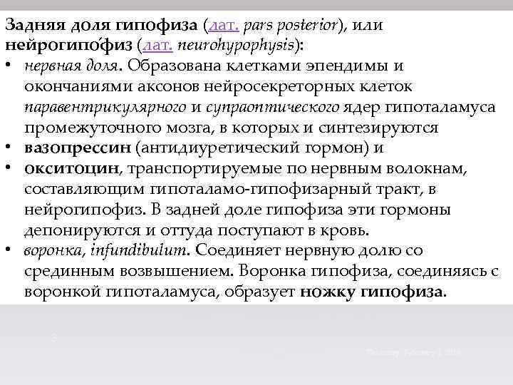Задняя доля гипофиза (лат. pars posterior), или нейрогипо физ (лат. neurohypophysis): • нервная доля.