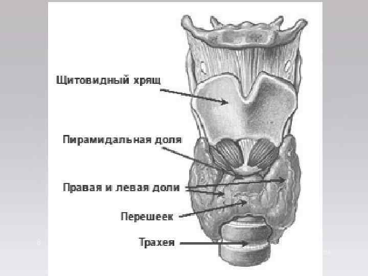8 Thursday, February 1, 2018 