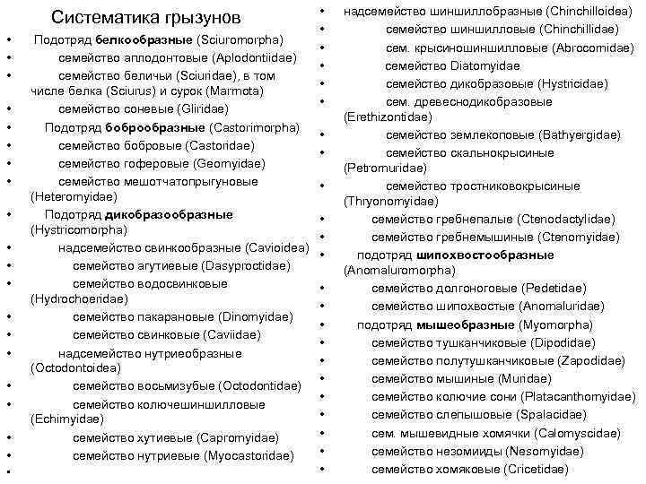Систематика грызунов • • • Подотряд белкообразные (Sciuromorpha) семейство аплодонтовые (Aplodontiidae) семейство беличьи (Sciuridae),