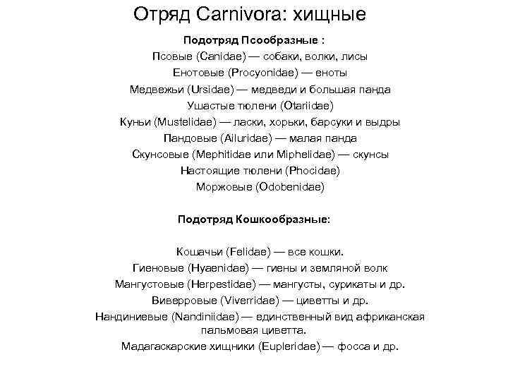 Отряд Carnivora: хищные Подотряд Псообразные : Псовые (Canidae) — собаки, волки, лисы Енотовые (Procyonidae)