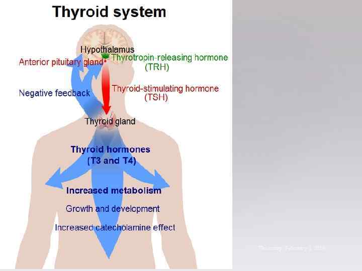27 Thursday, February 1, 2018 