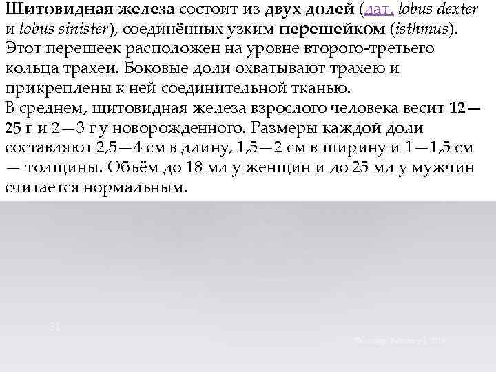 Щитовидная железа состоит из двух долей (лат. lobus dexter и lobus sinister), соединённых узким