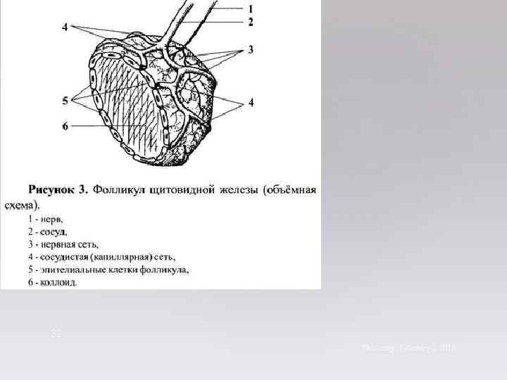 32 Thursday, February 1, 2018 