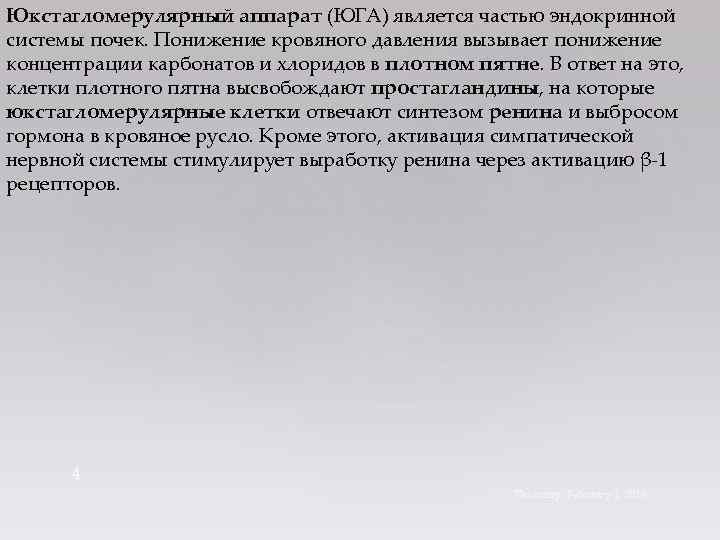 Юкстагломерулярный аппарат (ЮГА) является частью эндокринной системы почек. Понижение кровяного давления вызывает понижение концентрации