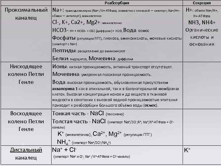  Реабсорбция Секреция Проксимальный Na+: трансцеллюлярно (Na+ / K+-АТФаза, совместно с глюкозой — симпорт;