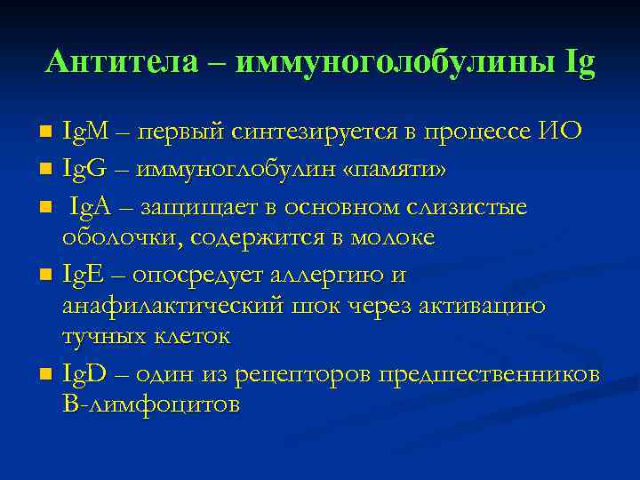Антитела – иммуноголобулины Ig Ig. M – первый синтезируется в процессе ИО n Ig.