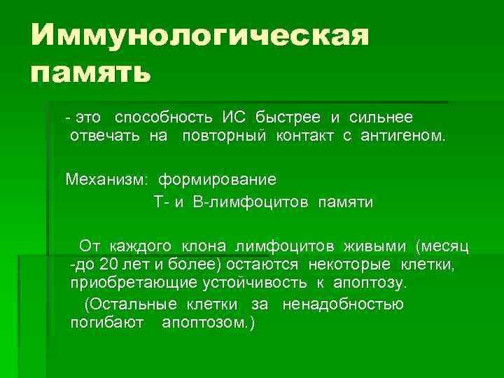 Иммунологическая память - это способность ИС быстрее и сильнее отвечать на повторный контакт с