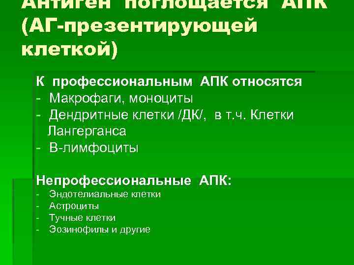Антиген поглощается АПК (АГ-презентирующей клеткой) К - профессиональным АПК относятся Макрофаги, моноциты Дендритные клетки