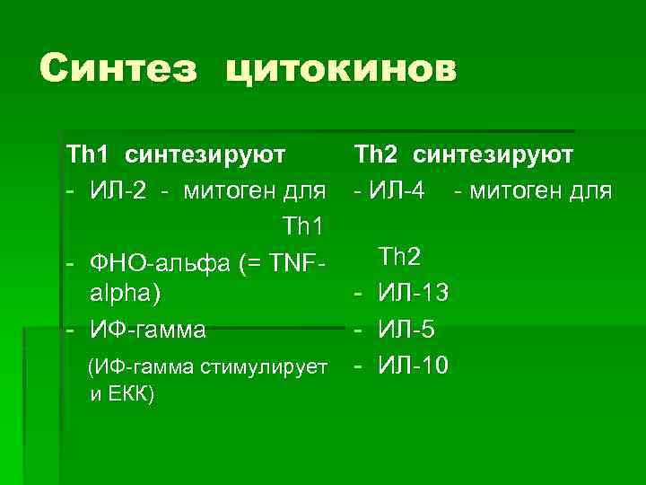 Синтез цитокинов Th 1 синтезируют - ИЛ-2 - митоген для Th 1 - ФНО-альфа