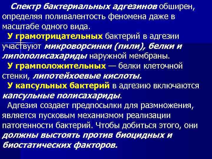 Спектр бактериальных адгезинов обширен, определяя поливалентость феномена даже в масштабе одного вида. У грамотрицательных