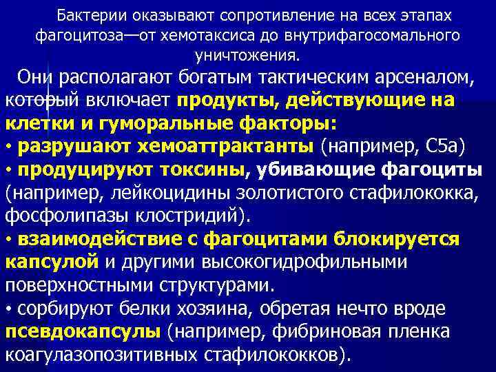 Бактерии оказывают сопротивление на всех этапах фагоцитоза—от хемотаксиса до внутрифагосомального уничтожения. Они располагают богатым