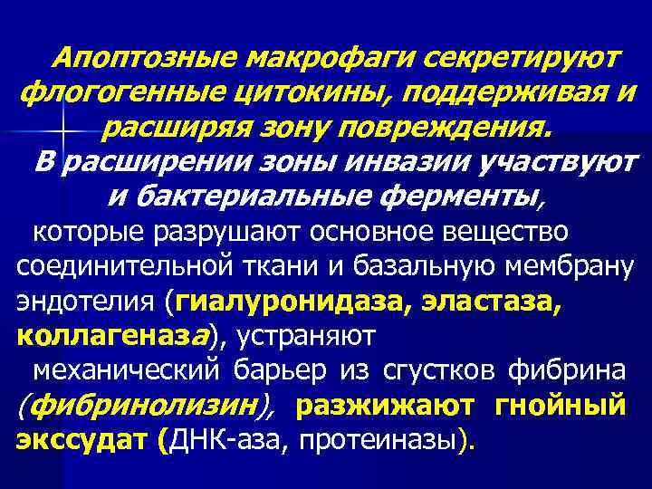 Апоптозные макрофаги секретируют флогогенные цитокины, поддерживая и расширяя зону повреждения. В расширении зоны инвазии