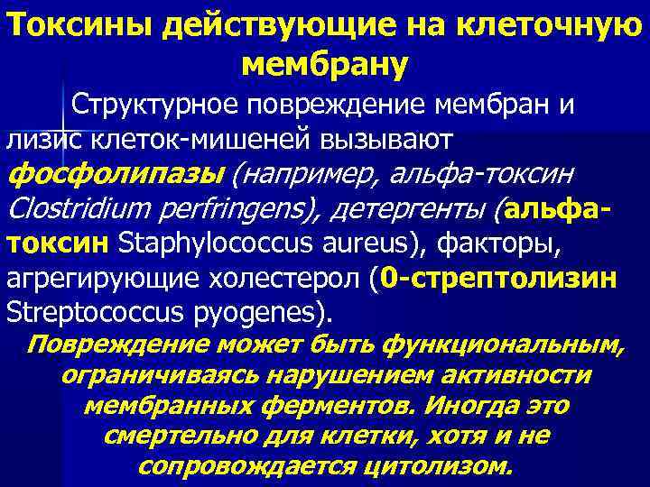 Токсины действующие на клеточную мембрану Структурное повреждение мембран и лизис клеток-мишеней вызывают фосфолипазы (например,