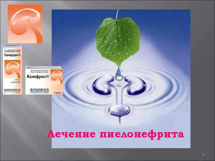 Лечение пиелонефрита 2 