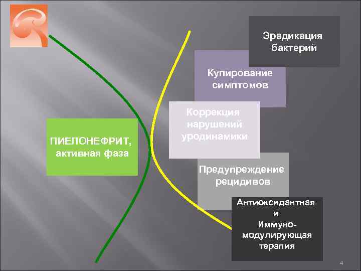 Эрадикация бактерий Купирование симптомов ПИЕЛОНЕФРИТ, активная фаза Коррекция нарушений уродинамики Предупреждение рецидивов Антиоксидантная и