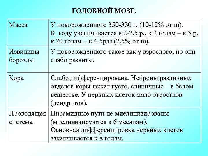 ГОЛОВНОЙ МОЗГ. Масса Извилины борозды Кора У новорожденного 350 -380 г. (10 -12% от