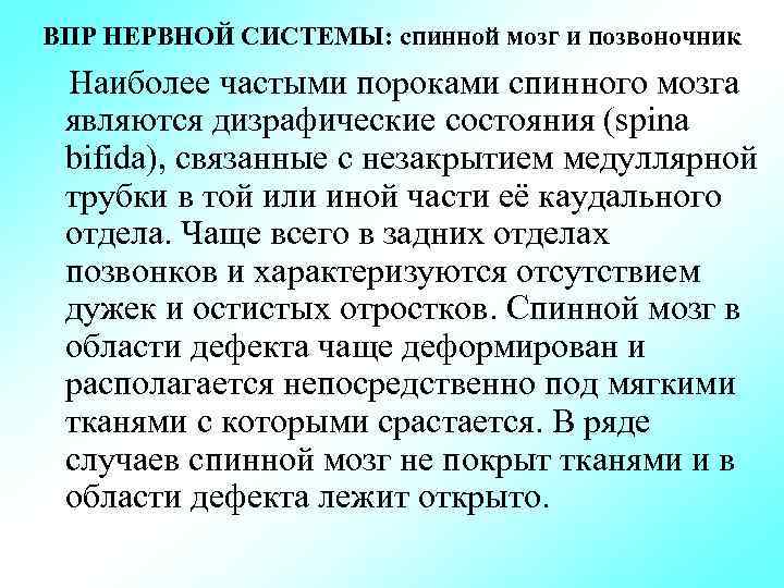 ВПР НЕРВНОЙ СИСТЕМЫ: спинной мозг и позвоночник Наиболее частыми пороками спинного мозга являются дизрафические