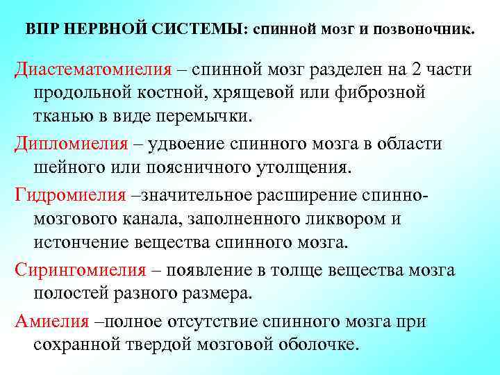 Врожденные пороки развития нервной системы презентация