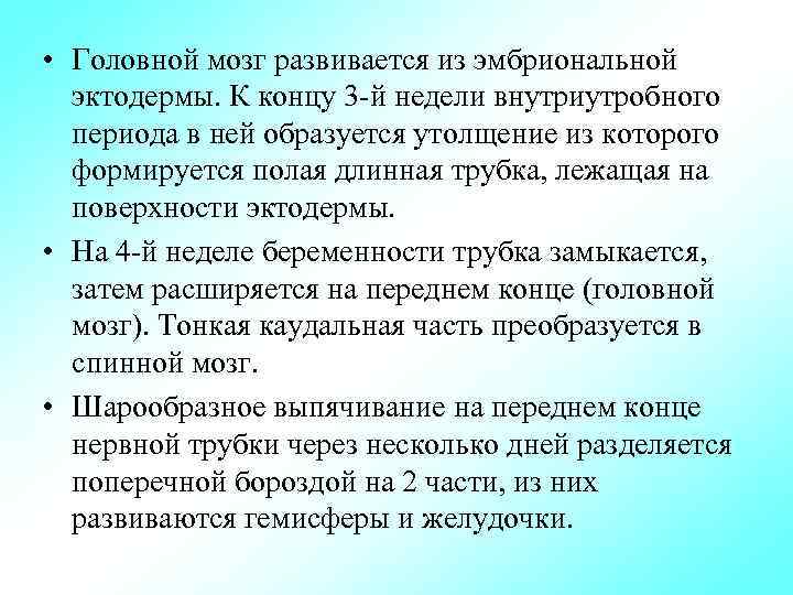  • Головной мозг развивается из эмбриональной эктодермы. К концу 3 -й недели внутриутробного