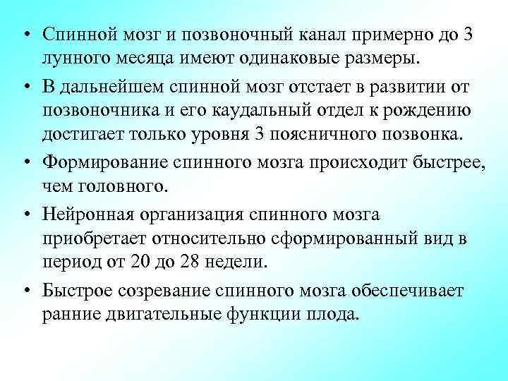  • Спинной мозг и позвоночный канал примерно до 3 лунного месяца имеют одинаковые