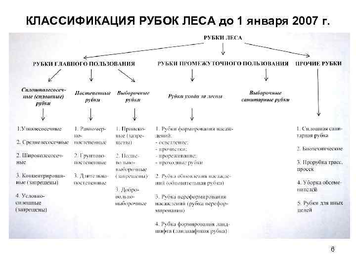 КЛАССИФИКАЦИЯ РУБОК ЛЕСА до 1 января 2007 г. 6 