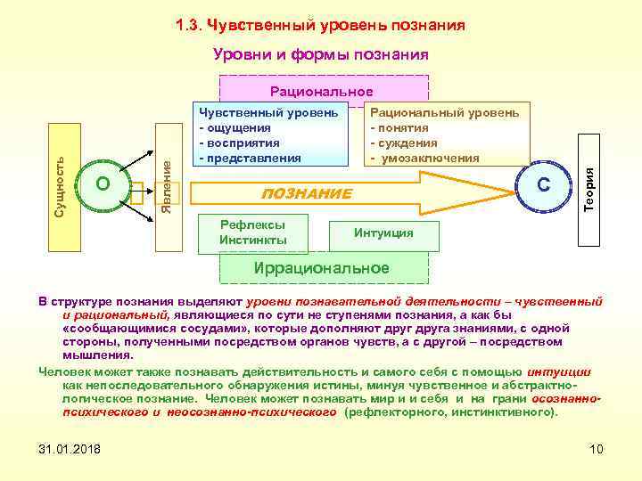1. 3. Чувственный уровень познания Уровни и формы познания Чувственный уровень - ощущения -