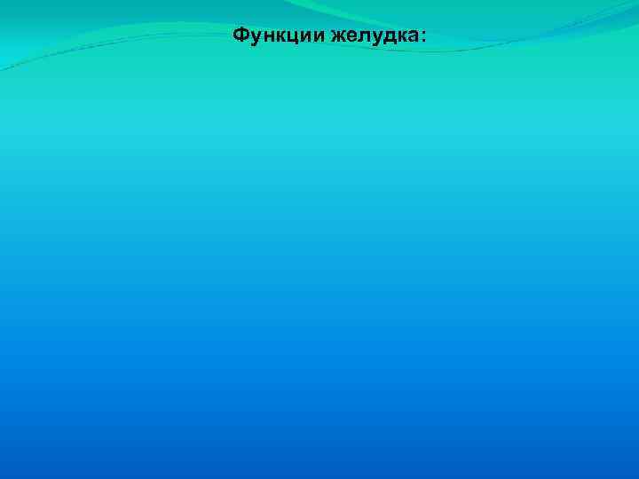 Функции желудка: 