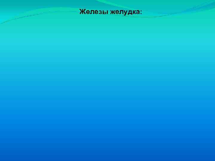 Железы желудка: 