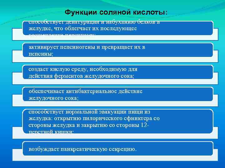 Функции соляной кислоты: способствует денатурации и набуханию белков в желудке, что облегчает их последующее