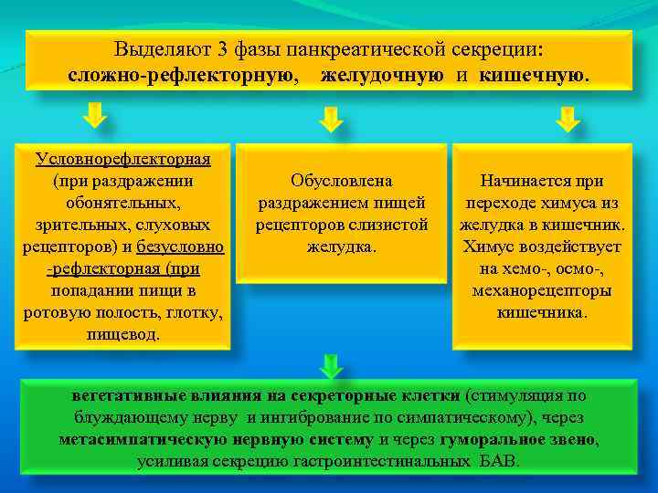 Выделяют 3 фазы панкреатической секреции: сложно-рефлекторную, желудочную и кишечную. Условнорефлекторная (при раздражении обонятельных, зрительных,