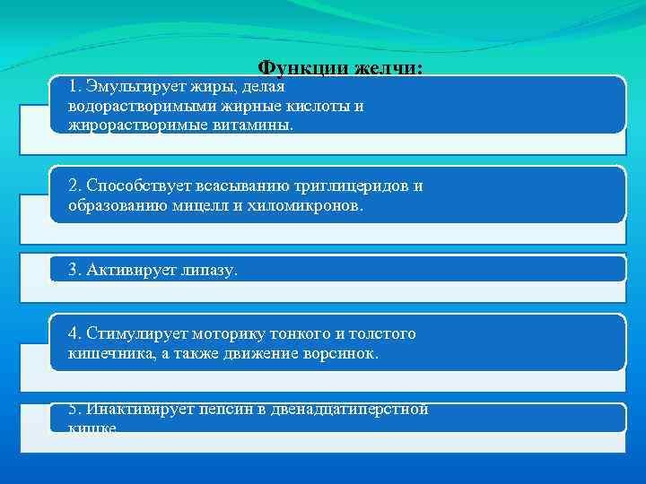Функции желчи: 1. Эмульгирует жиры, делая водорастворимыми жирные кислоты и жирорастворимые витамины. 2. Способствует