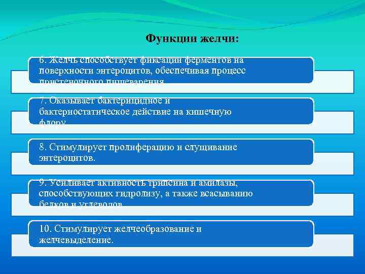 Функции желчи: 6. Желчь способствует фиксации ферментов на поверхности энтероцитов, обеспечивая процесс пристеночного пищеварения.