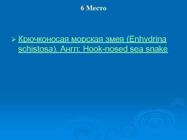 6 Место Ø Крючконосая морская змея (Enhydrina schistosa). Англ: Hook-nosed sea snake 