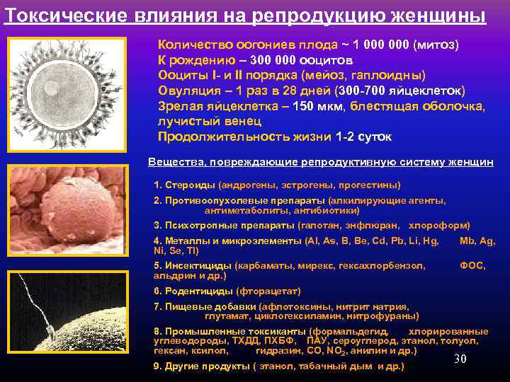 Токсические влияния на репродукцию женщины Количество оогониев плода ~ 1 000 (митоз) К рождению