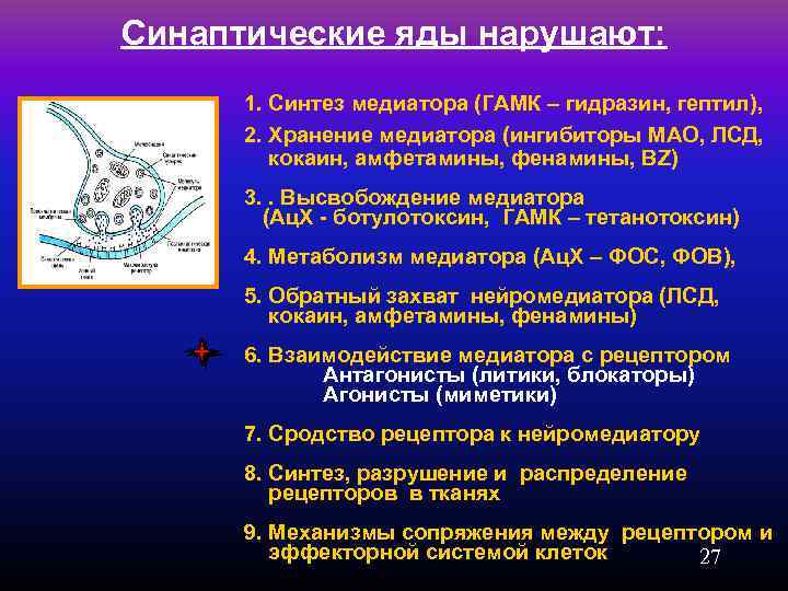 Синтез медиатора. Синаптические яды. Блокаторы синаптической передачи. ГАМК медиатор Синтез. Блокаторы ГАМК рецепторов препараты.