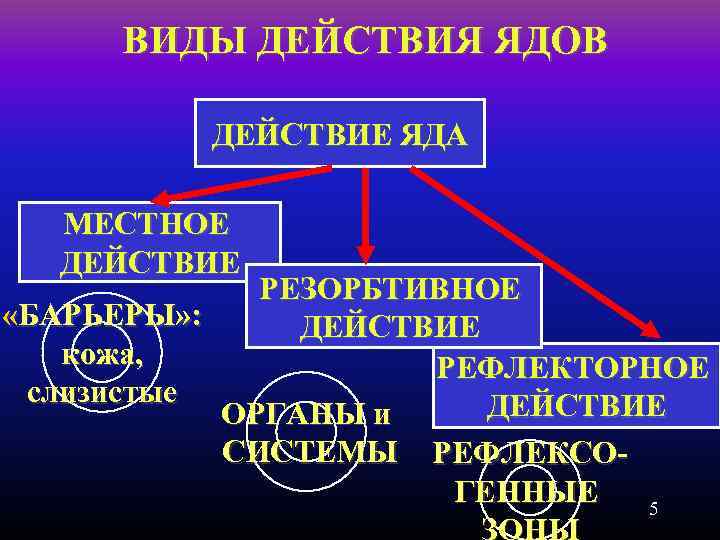 ВИДЫ ДЕЙСТВИЯ ЯДОВ ДЕЙСТВИЕ ЯДА МЕСТНОЕ ДЕЙСТВИЕ РЕЗОРБТИВНОЕ «БАРЬЕРЫ» : ДЕЙСТВИЕ кожа, РЕФЛЕКТОРНОЕ слизистые