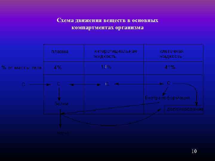 Схема движения веществ в основных компартментах организма 10 