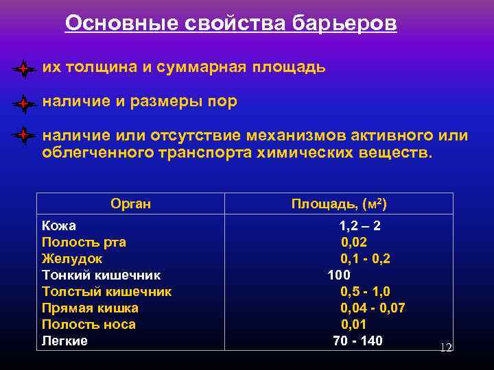 Основные свойства барьеров их толщина и суммарная площадь наличие и размеры пор наличие или