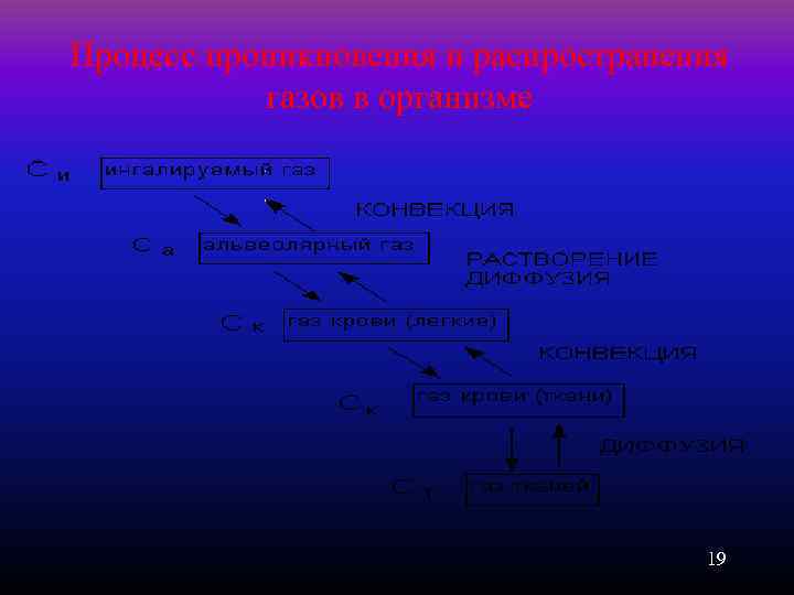 Процесс проникновения и распространения газов в организме 19 