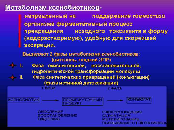 Метаболизм ксенобиотиковнаправленный на поддержание гомеостаза организма ферментативный процесс превращения исходного токсиканта в форму (водорастворимую),