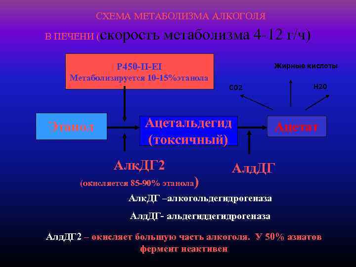 СХЕМА МЕТАБОЛИЗМА АЛКОГОЛЯ В ПЕЧЕНИ ( скорость метаболизма 4 -12 г/ч) Р 450 -II-EI