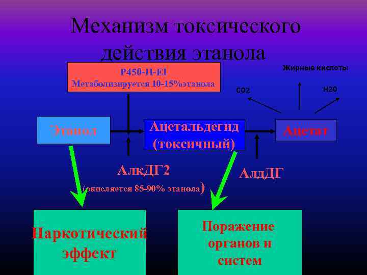 Механизм токсического действия этанола Жирные кислоты Р 450 -II-EI Метаболизируется 10 -15%этанола Ацетальдегид (токсичный)