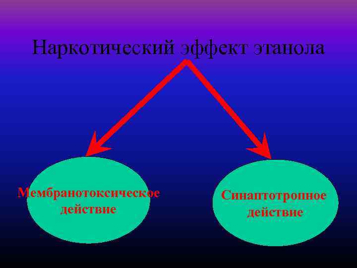 Наркотический эффект этанола Мембранотоксическое действие Синаптотропное действие 