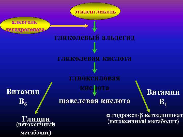 этиленгликоль алкоголь дегидрогеназа гликолевый альдегид гликолевая кислота Витамин В 6 Глицин (нетоксичный метаболит) глиоксиловая