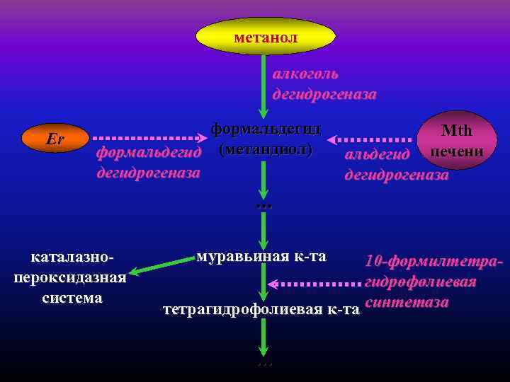 метанол алкоголь дегидрогеназа Er формальдегид (метандиол) дегидрогеназа Mth альдегид печени дегидрогеназа . . .