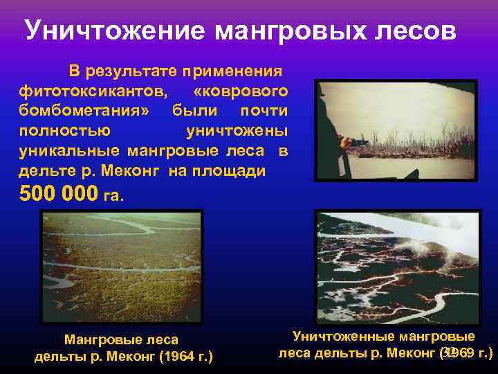 Уничтожение мангровых лесов В результате применения фитотоксикантов, «коврового бомбометания» были почти полностью уничтожены уникальные