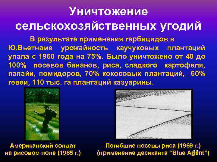 Уничтожение сельскохозяйственных угодий В результате применения гербицидов в Ю. Вьетнаме урожайность каучуковых плантаций упала