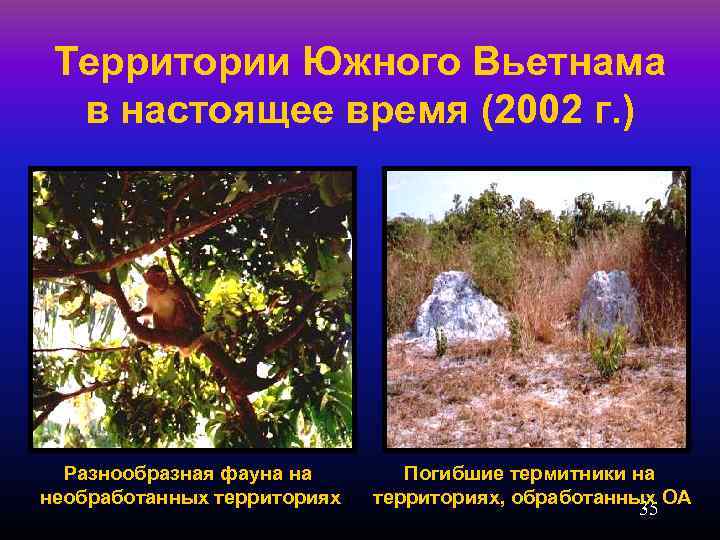 Территории Южного Вьетнама в настоящее время (2002 г. ) Разнообразная фауна на необработанных территориях